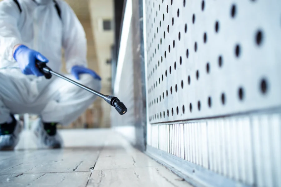 How An Exterminator Provides Long-Term Pest Prevention Solutions