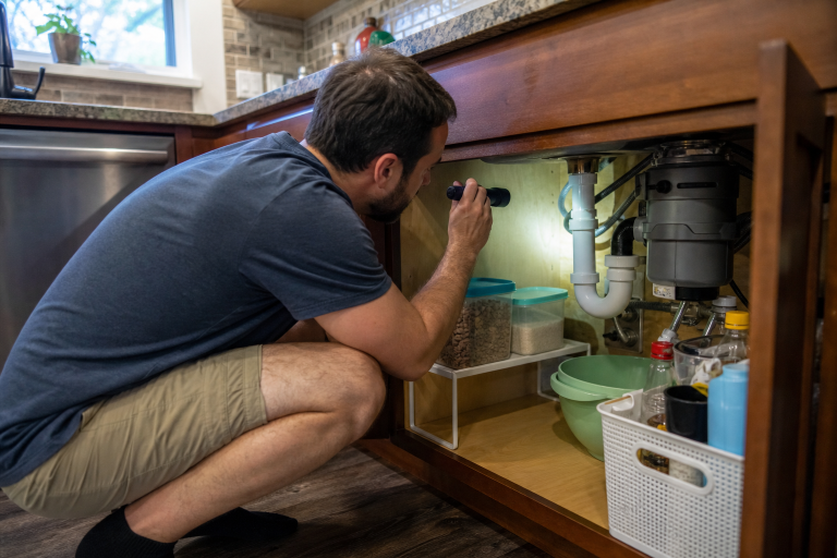 Rodent-Proofing Your Home Room by Room: Prevention Checklist